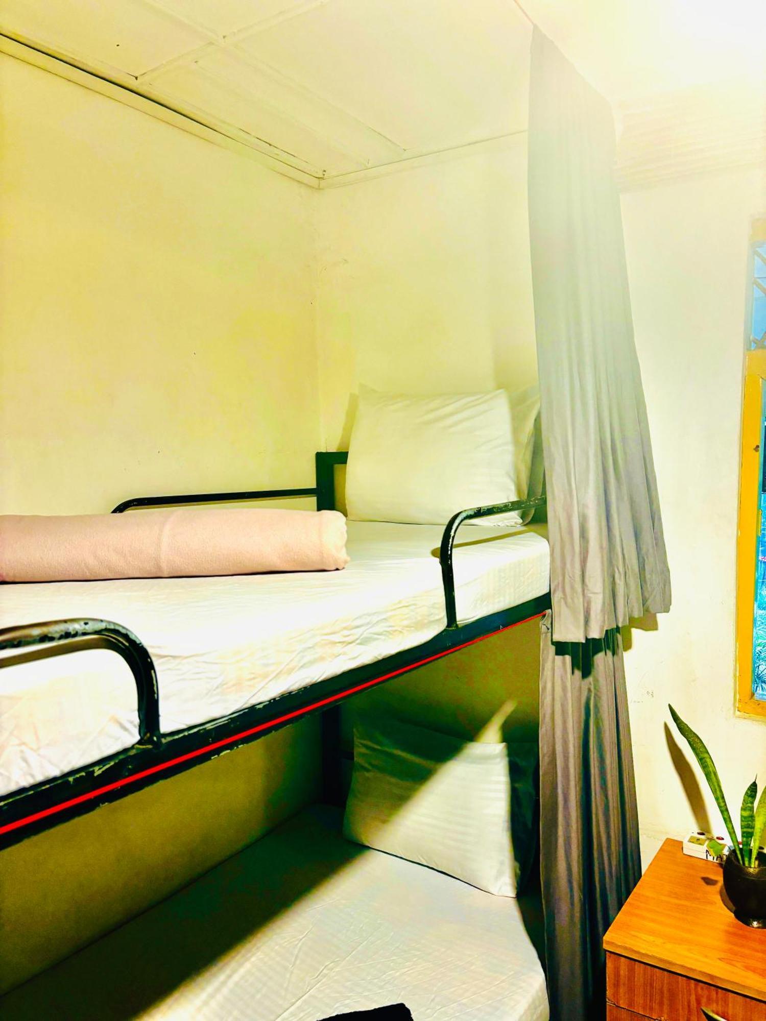 אלה Mad Monkey Hostel And Lounge מראה חיצוני תמונה